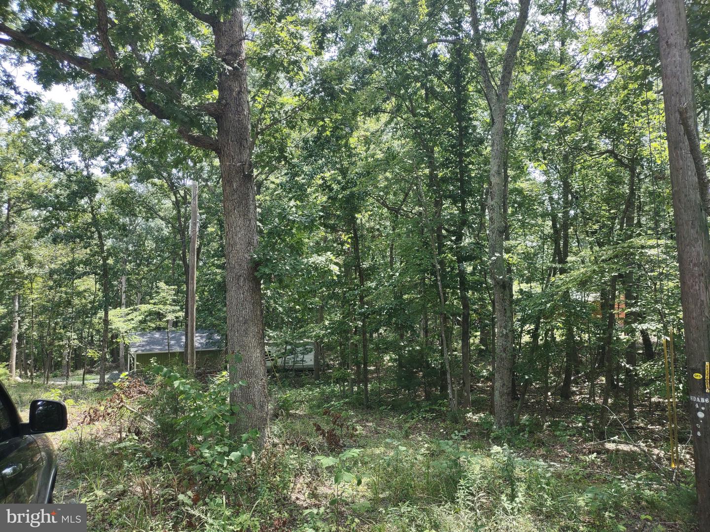 BLEVINS ROAD, LURAY, Virginia 22835, ,Land,For sale,BLEVINS ROAD,VAPA2005204 MLS # VAPA2005204
