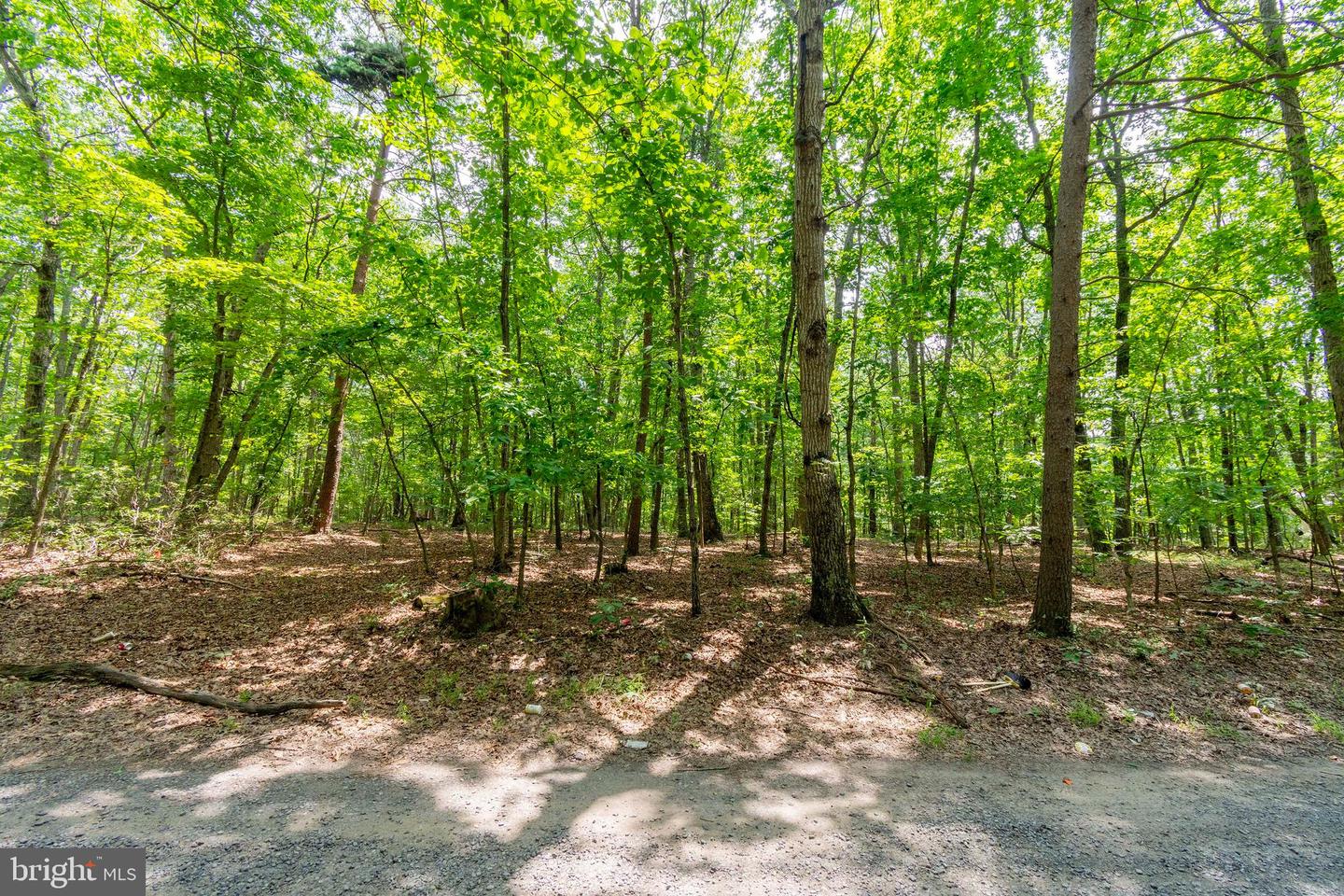 0 BIG H RANCH RD, CULPEPER, Virginia 22701, ,Land,For sale,0 BIG H RANCH RD,VAOR2010346 MLS # VAOR2010346