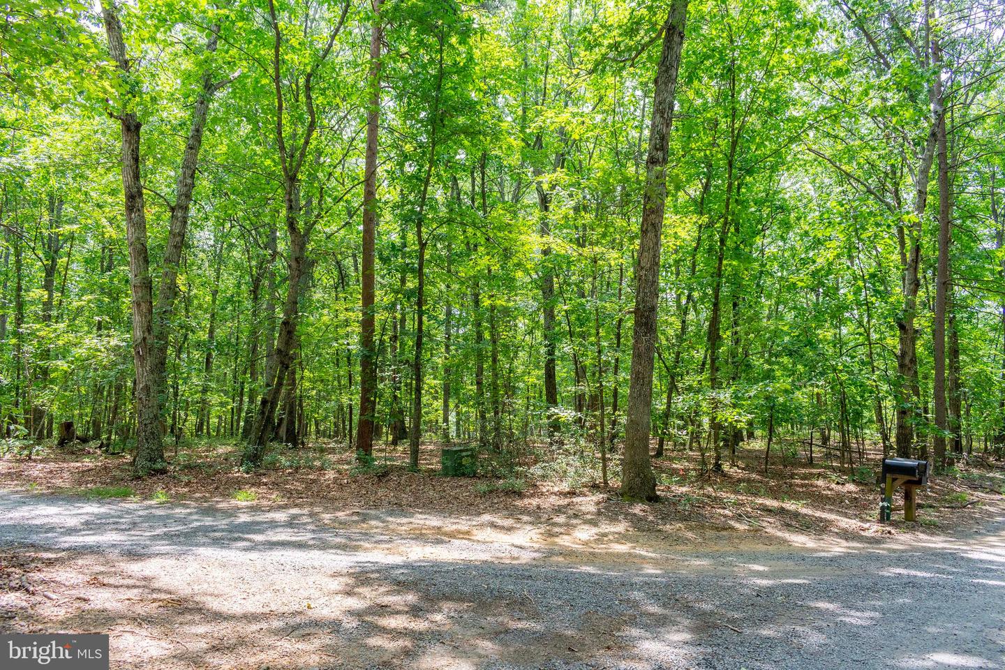0 BIG H RANCH RD, CULPEPER, Virginia 22701, ,Land,For sale,0 BIG H RANCH RD,VAOR2010346 MLS # VAOR2010346