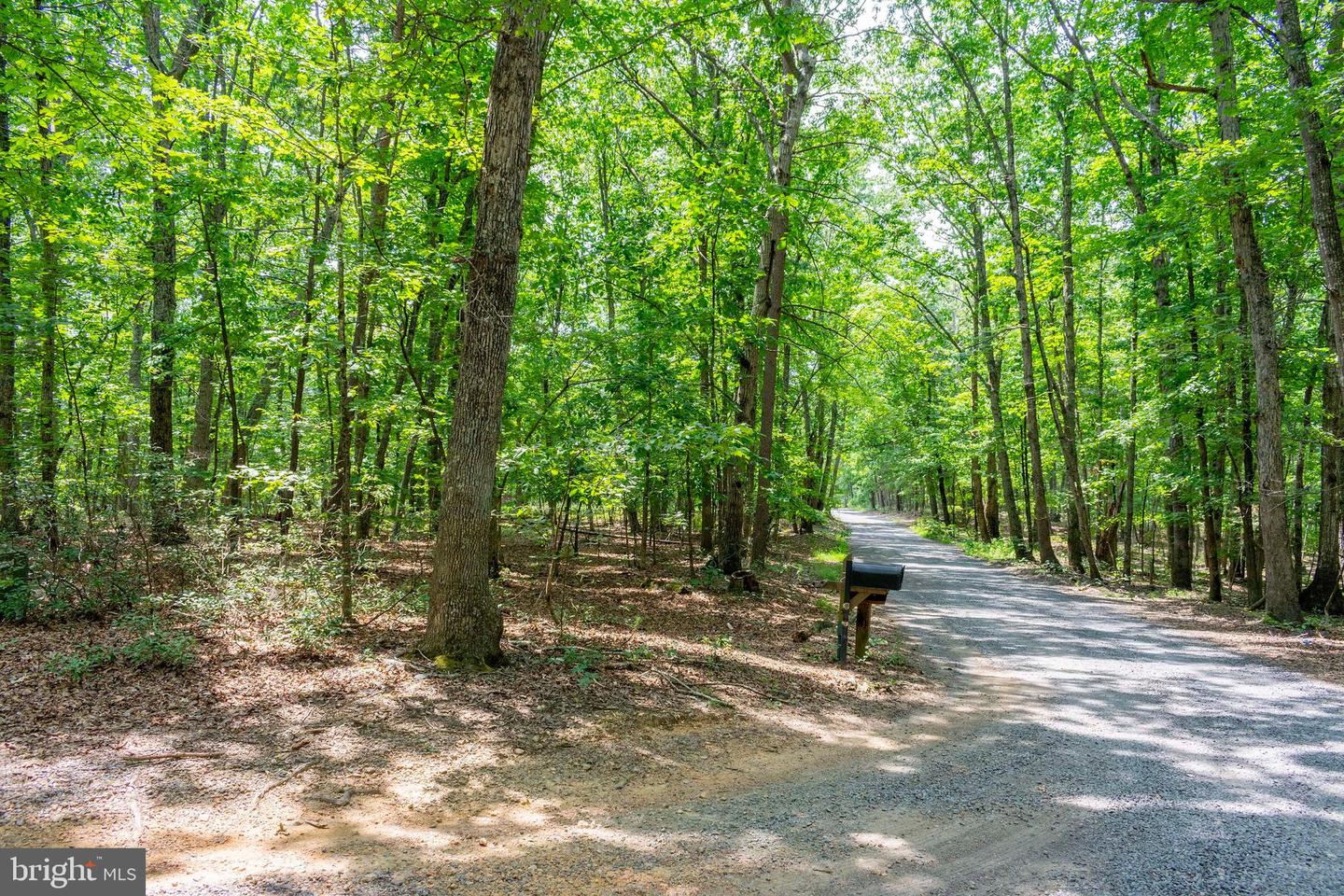 0 BIG H RANCH RD, CULPEPER, Virginia 22701, ,Land,For sale,0 BIG H RANCH RD,VAOR2010346 MLS # VAOR2010346