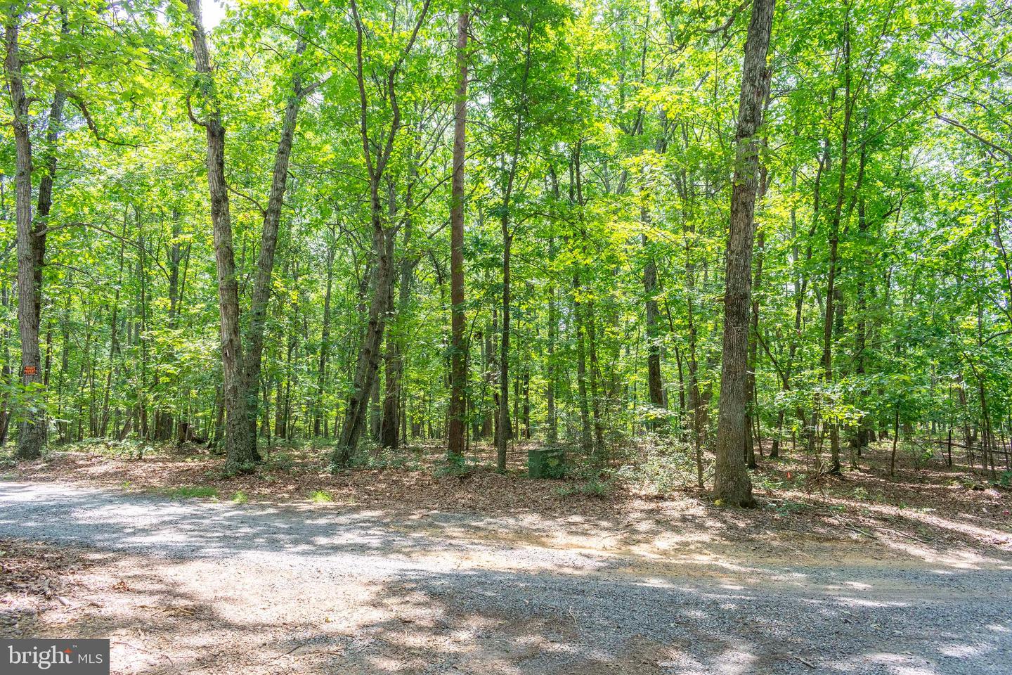 0 BIG H RANCH RD, CULPEPER, Virginia 22701, ,Land,For sale,0 BIG H RANCH RD,VAOR2010346 MLS # VAOR2010346