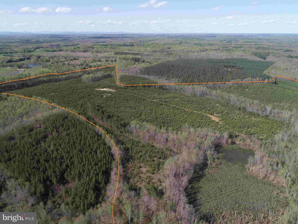 CABELL LANE (TRACT: 5810 THOMAS M. BROOKS), NEW CANTON, Virginia 23123, ,Farm,For sale,CABELL LANE (TRACT: 5810 THOMAS M. BROOKS),VABH2000204 MLS # VABH2000204