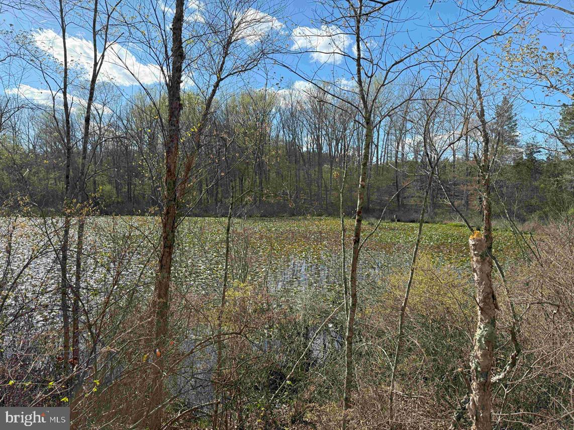 CABELL LANE (TRACT: 5810 THOMAS M. BROOKS), NEW CANTON, Virginia 23123, ,Farm,For sale,CABELL LANE (TRACT: 5810 THOMAS M. BROOKS),VABH2000204 MLS # VABH2000204