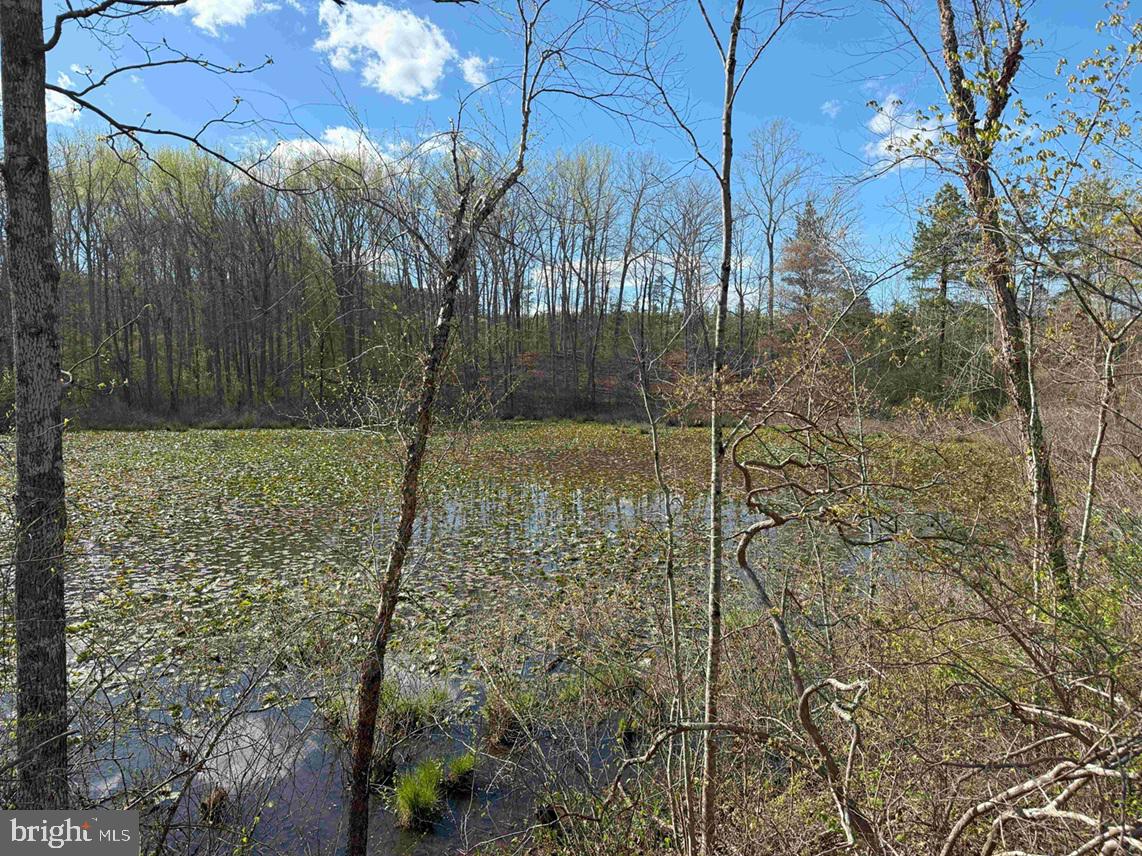 CABELL LANE (TRACT: 5810 THOMAS M. BROOKS), NEW CANTON, Virginia 23123, ,Farm,For sale,CABELL LANE (TRACT: 5810 THOMAS M. BROOKS),VABH2000204 MLS # VABH2000204