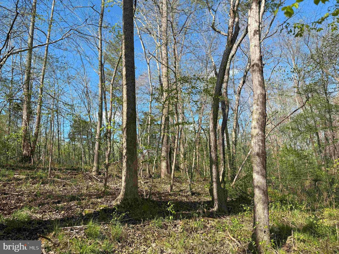 CABELL LANE (TRACT: 5810 THOMAS M. BROOKS), NEW CANTON, Virginia 23123, ,Farm,For sale,CABELL LANE (TRACT: 5810 THOMAS M. BROOKS),VABH2000204 MLS # VABH2000204