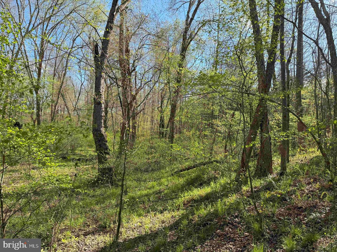 CABELL LANE (TRACT: 5810 THOMAS M. BROOKS), NEW CANTON, Virginia 23123, ,Farm,For sale,CABELL LANE (TRACT: 5810 THOMAS M. BROOKS),VABH2000204 MLS # VABH2000204
