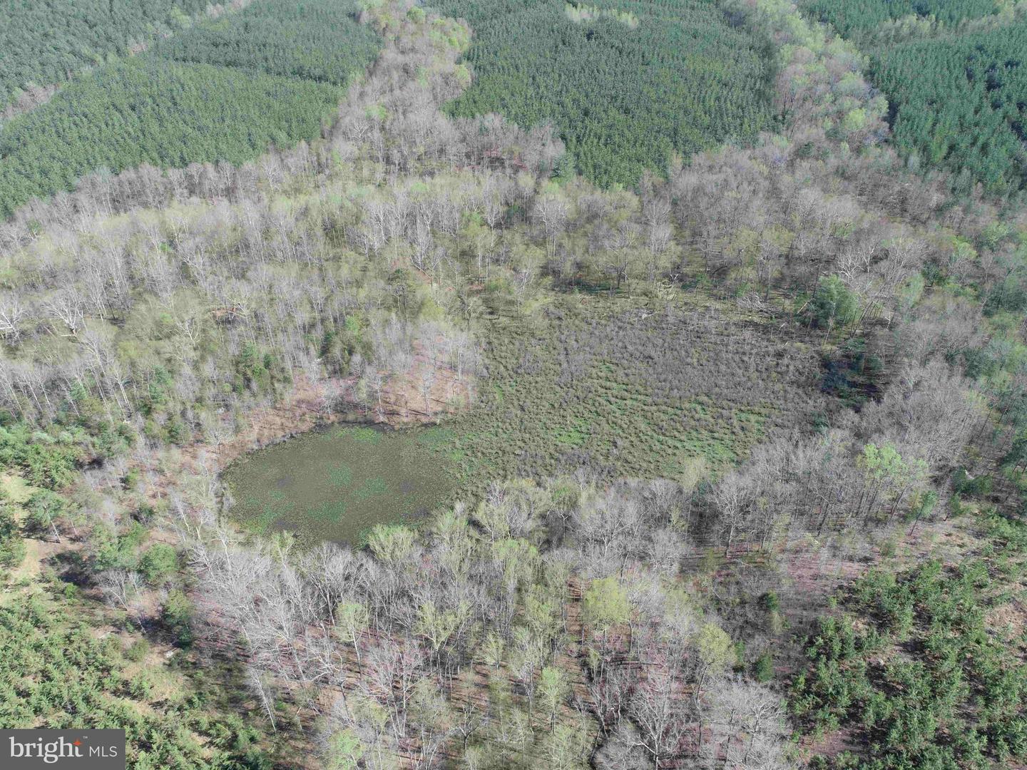 CABELL LANE (TRACT: 5810 THOMAS M. BROOKS), NEW CANTON, Virginia 23123, ,Farm,For sale,CABELL LANE (TRACT: 5810 THOMAS M. BROOKS),VABH2000204 MLS # VABH2000204