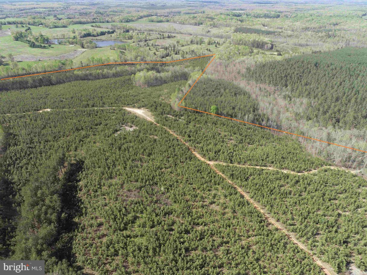 CABELL LANE (TRACT: 5810 THOMAS M. BROOKS), NEW CANTON, Virginia 23123, ,Farm,For sale,CABELL LANE (TRACT: 5810 THOMAS M. BROOKS),VABH2000204 MLS # VABH2000204
