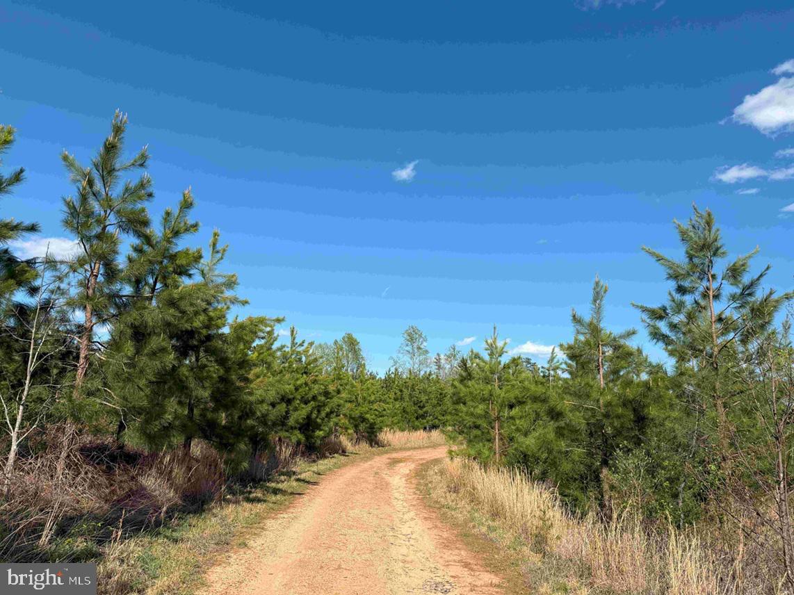 CABELL LANE (TRACT: 5810 THOMAS M. BROOKS), NEW CANTON, Virginia 23123, ,Farm,For sale,CABELL LANE (TRACT: 5810 THOMAS M. BROOKS),VABH2000204 MLS # VABH2000204