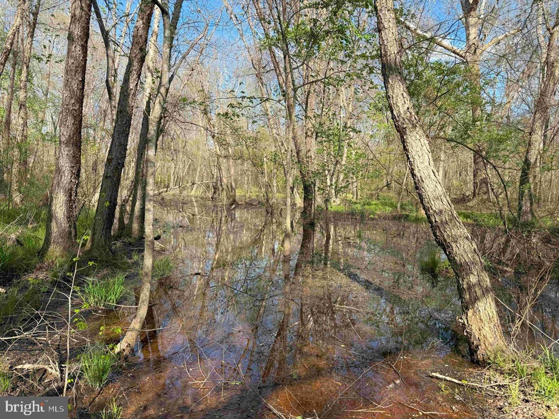 CABELL LANE (TRACT: 5810 THOMAS M. BROOKS), NEW CANTON, Virginia 23123, ,Farm,For sale,CABELL LANE (TRACT: 5810 THOMAS M. BROOKS),VABH2000204 MLS # VABH2000204
