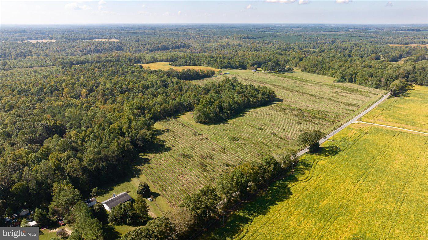 667 HUSTLE RD, HUSTLE, Virginia 22476, 6 Bedrooms Bedrooms, ,3 BathroomsBathrooms,Farm,For sale,667 HUSTLE RD,VAES2001998 MLS # VAES2001998