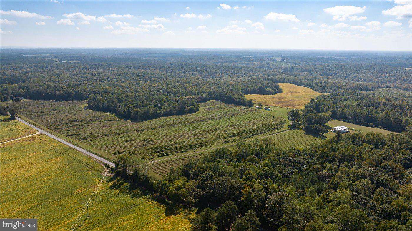 667 HUSTLE RD, HUSTLE, Virginia 22476, 6 Bedrooms Bedrooms, ,3 BathroomsBathrooms,Farm,For sale,667 HUSTLE RD,VAES2001998 MLS # VAES2001998