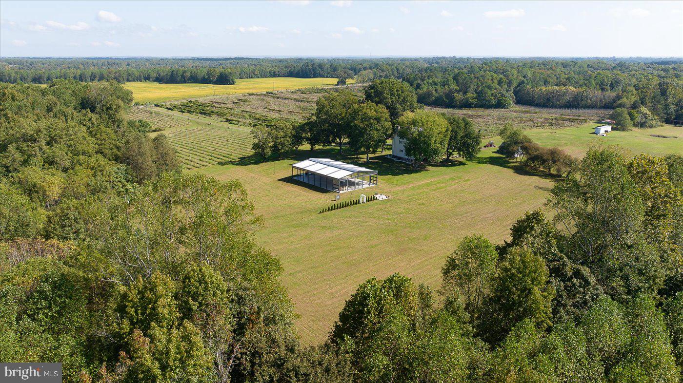 667 HUSTLE RD, HUSTLE, Virginia 22476, 6 Bedrooms Bedrooms, ,3 BathroomsBathrooms,Farm,For sale,667 HUSTLE RD,VAES2001998 MLS # VAES2001998