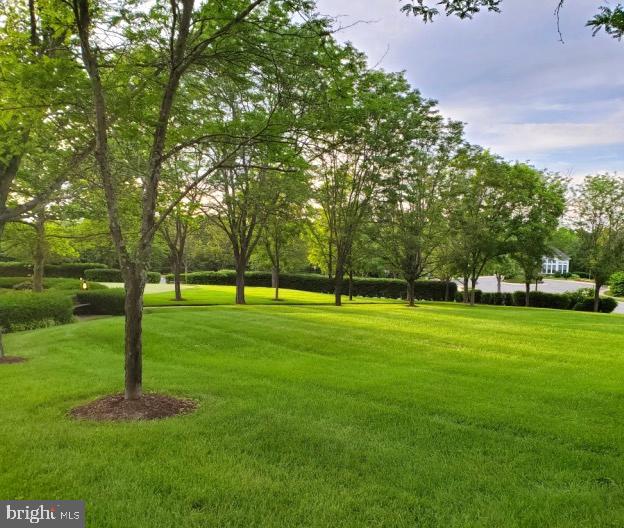 9443 STRUTHERS GLEN CT, BRISTOW, Virginia 20136, 5 Bedrooms Bedrooms, ,3 BathroomsBathrooms,Residential,For sale,9443 STRUTHERS GLEN CT,VAPW2100444 MLS # VAPW2100444