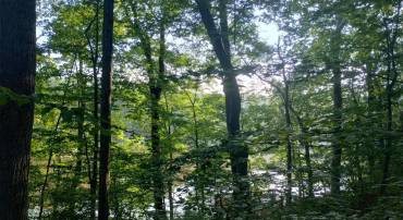8226 FONESWOOD LN, MANASSAS, Virginia 20112, ,Land,For sale,8226 FONESWOOD LN,VAPW2100556 MLS # VAPW2100556
