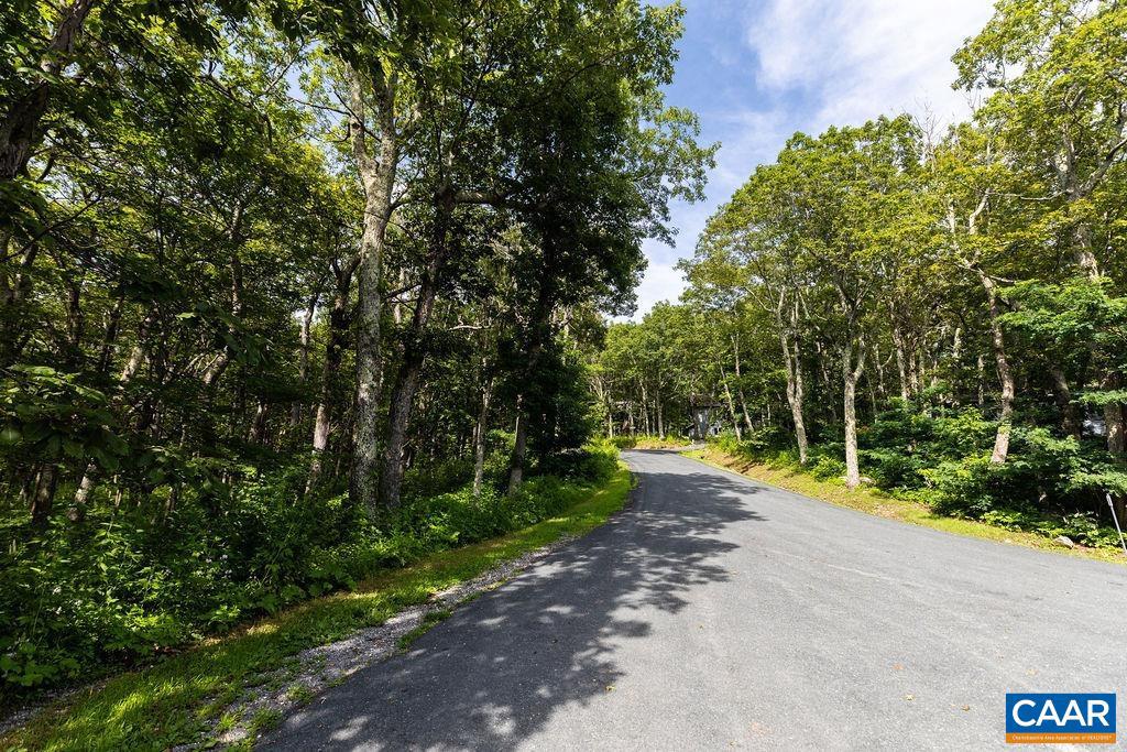 80 BEECH DR #55, WINTERGREEN RESORT, Virginia 22967, ,Land,For sale,80 BEECH DR #55,667475 MLS # 667475
