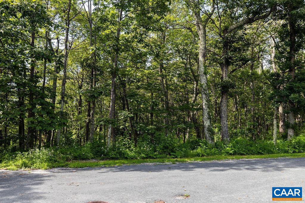 80 BEECH DR #55, WINTERGREEN RESORT, Virginia 22967, ,Land,For sale,80 BEECH DR #55,667475 MLS # 667475