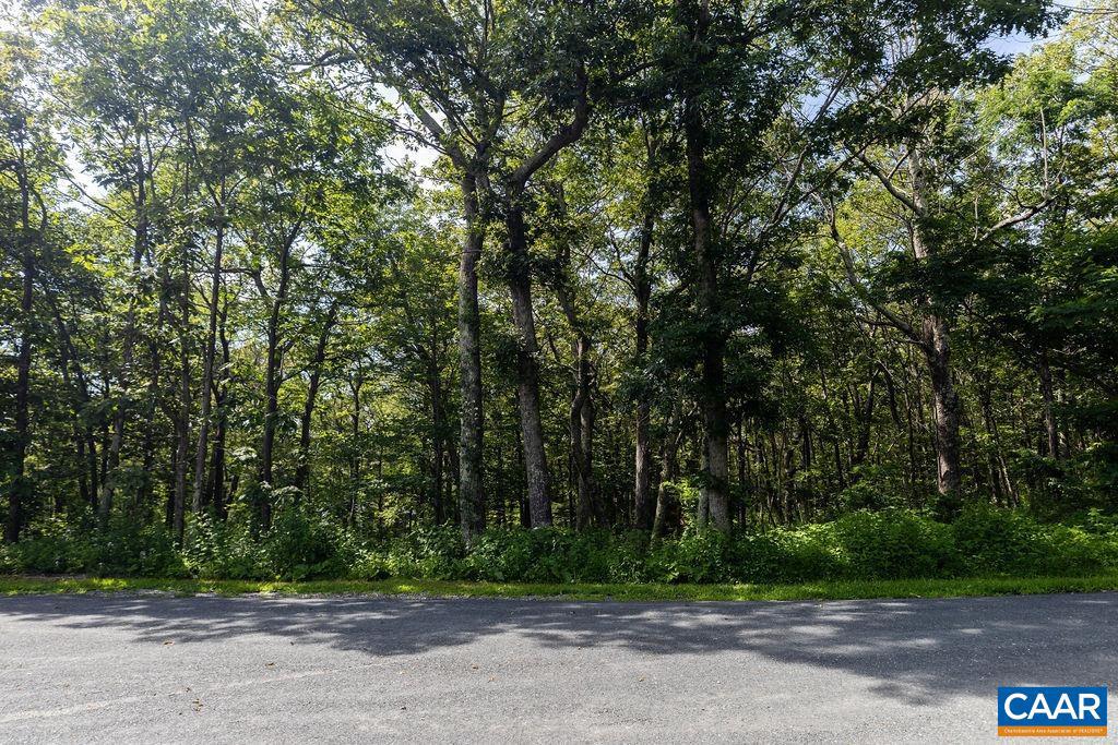 80 BEECH DR #55, WINTERGREEN RESORT, Virginia 22967, ,Land,For sale,80 BEECH DR #55,667475 MLS # 667475