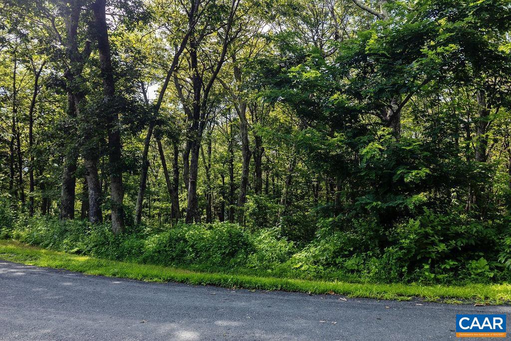 80 BEECH DR #55, WINTERGREEN RESORT, Virginia 22967, ,Land,For sale,80 BEECH DR #55,667475 MLS # 667475