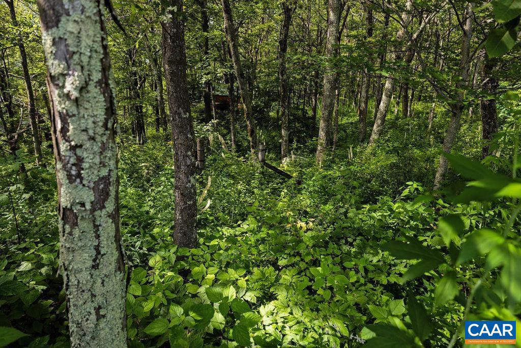 80 BEECH DR #55, WINTERGREEN RESORT, Virginia 22967, ,Land,For sale,80 BEECH DR #55,667475 MLS # 667475