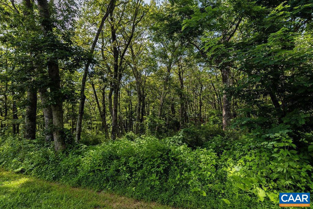 80 BEECH DR #55, WINTERGREEN RESORT, Virginia 22967, ,Land,For sale,80 BEECH DR #55,667475 MLS # 667475