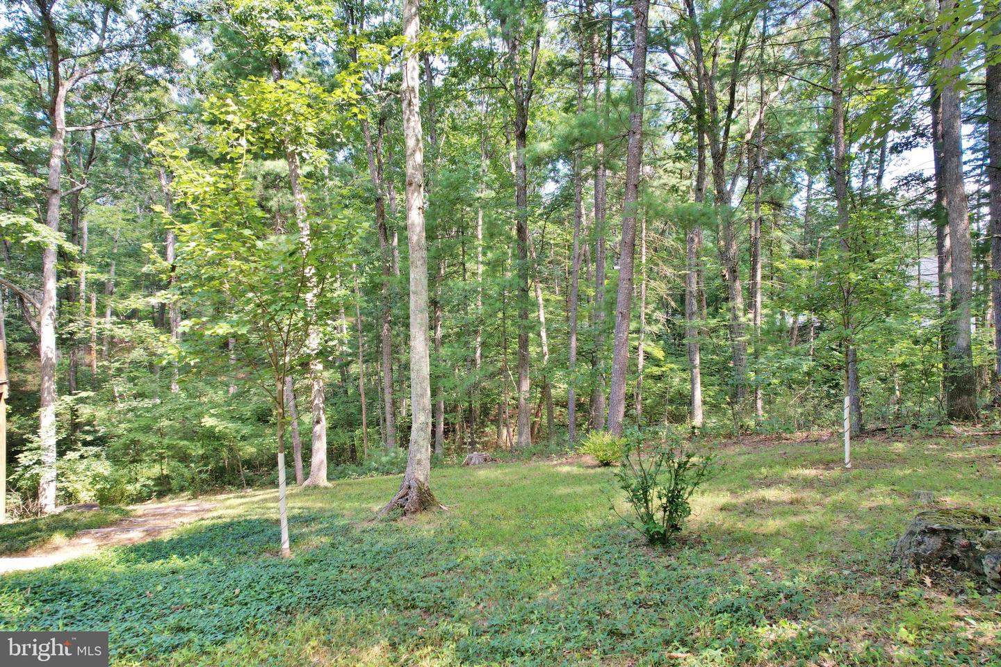 381 BASS WOOD LN, MOUNT JACKSON, Virginia 22842, 2 Bedrooms Bedrooms, ,2 BathroomsBathrooms,Residential,For sale,381 BASS WOOD LN,VASH2012068 MLS # VASH2012068