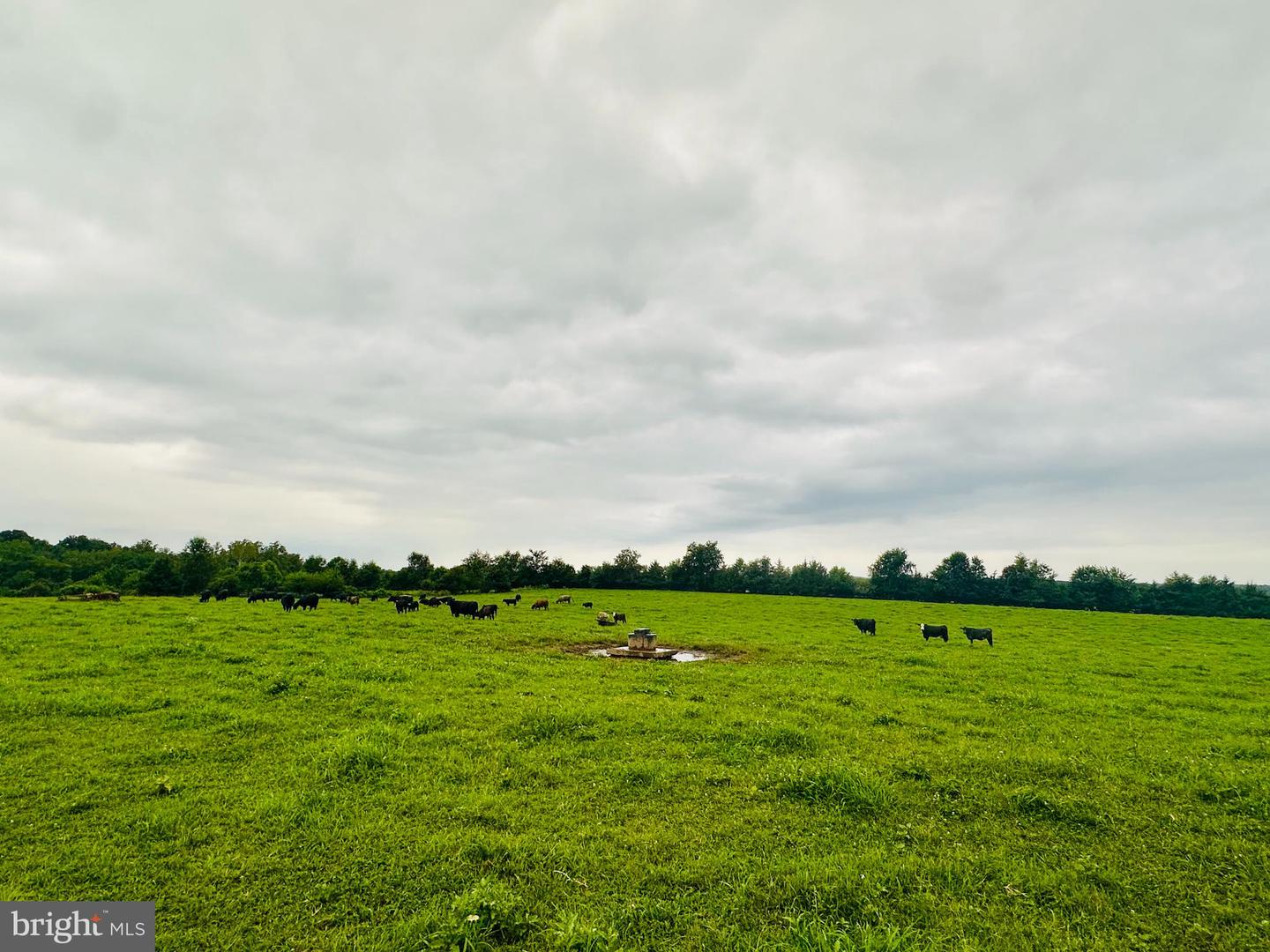 22308 GERMANNA HWY, STEVENSBURG, Virginia 22741, 3 Bedrooms Bedrooms, ,1 BathroomBathrooms,Farm,For sale,22308 GERMANNA HWY,VACU2011186 MLS # VACU2011186