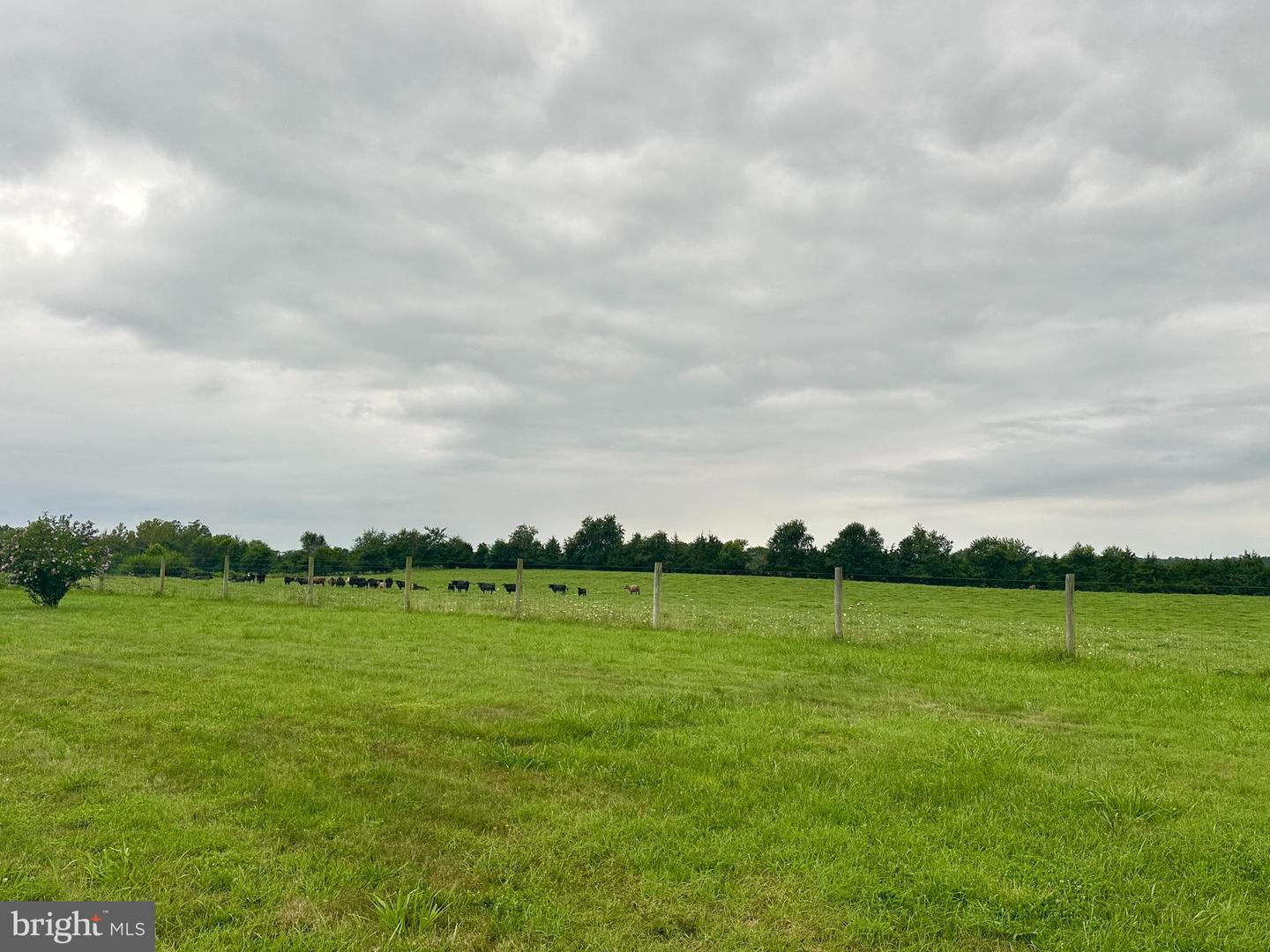 22308 GERMANNA HWY, STEVENSBURG, Virginia 22741, 3 Bedrooms Bedrooms, ,1 BathroomBathrooms,Farm,For sale,22308 GERMANNA HWY,VACU2011186 MLS # VACU2011186