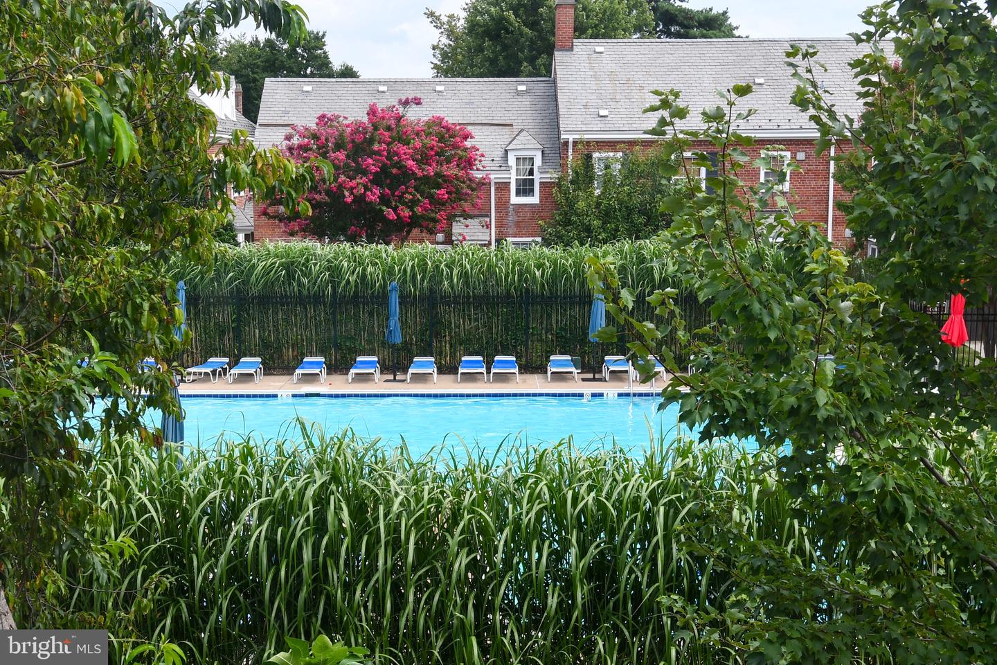 4437 S 36TH ST S #B1, ARLINGTON, Virginia 22206, 1 Bedroom Bedrooms, 4 Rooms Rooms,1 BathroomBathrooms,Residential,For sale,4437 S 36TH ST S #B1,VAAR2061750 MLS # VAAR2061750