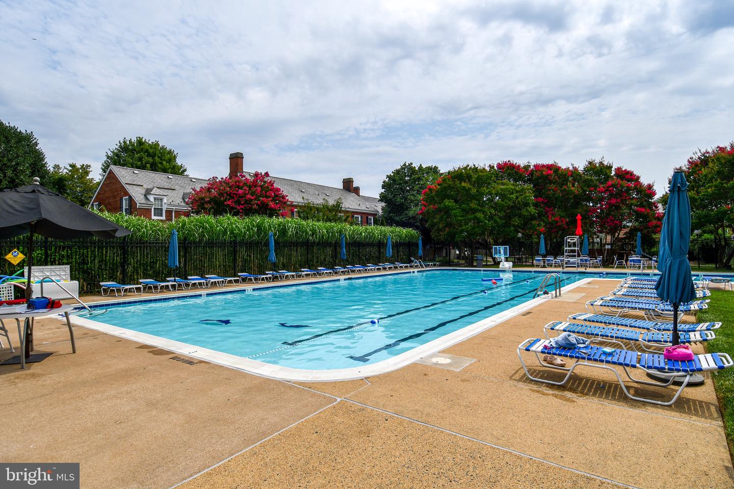 4437 S 36TH ST S #B1, ARLINGTON, Virginia 22206, 1 Bedroom Bedrooms, 4 Rooms Rooms,1 BathroomBathrooms,Residential,For sale,4437 S 36TH ST S #B1,VAAR2061750 MLS # VAAR2061750