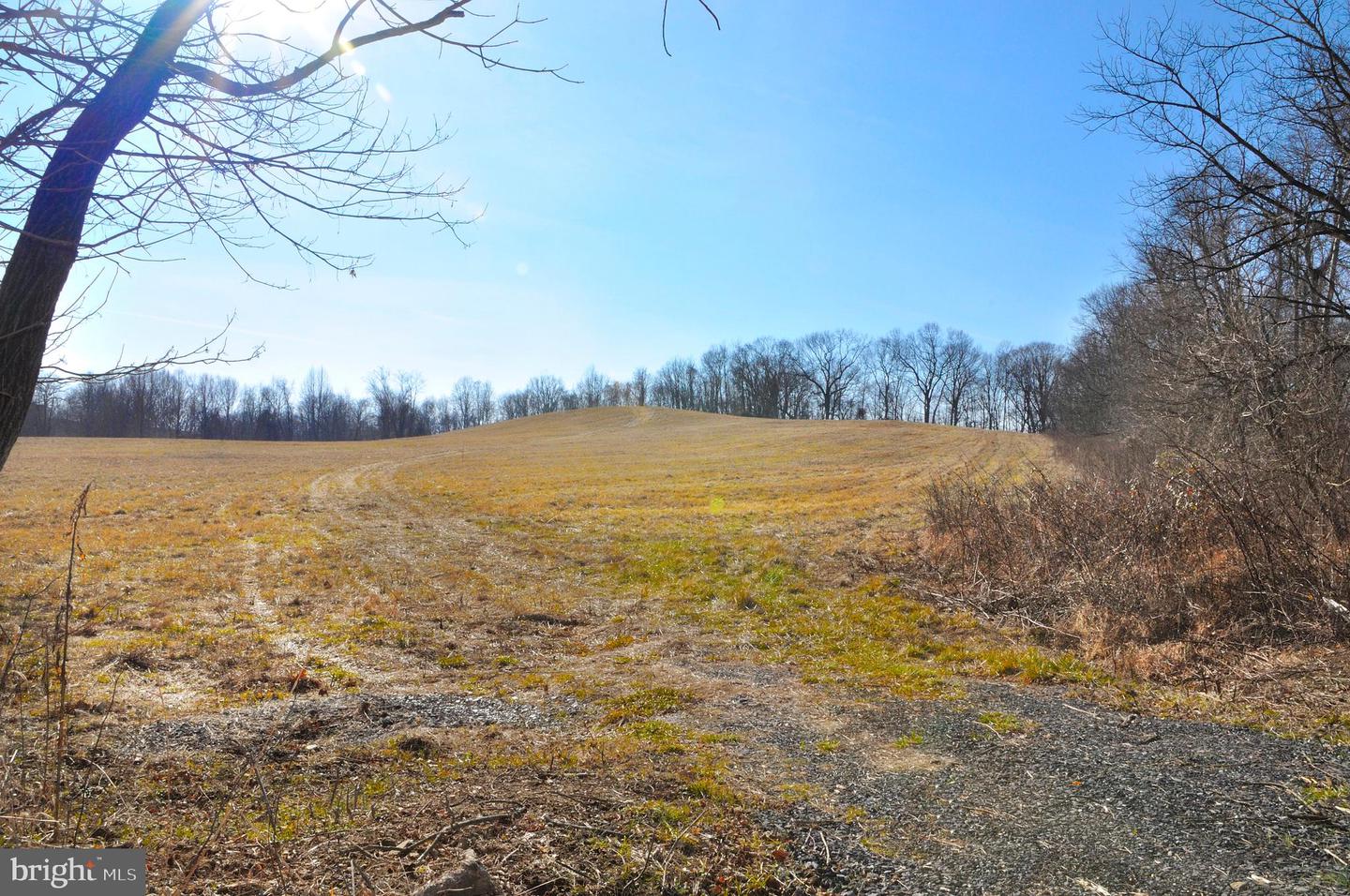 2919 ROKEBY RD, DELAPLANE, Virginia 20144, ,Land,For sale,2919 ROKEBY RD,VAFQ2017808 MLS # VAFQ2017808
