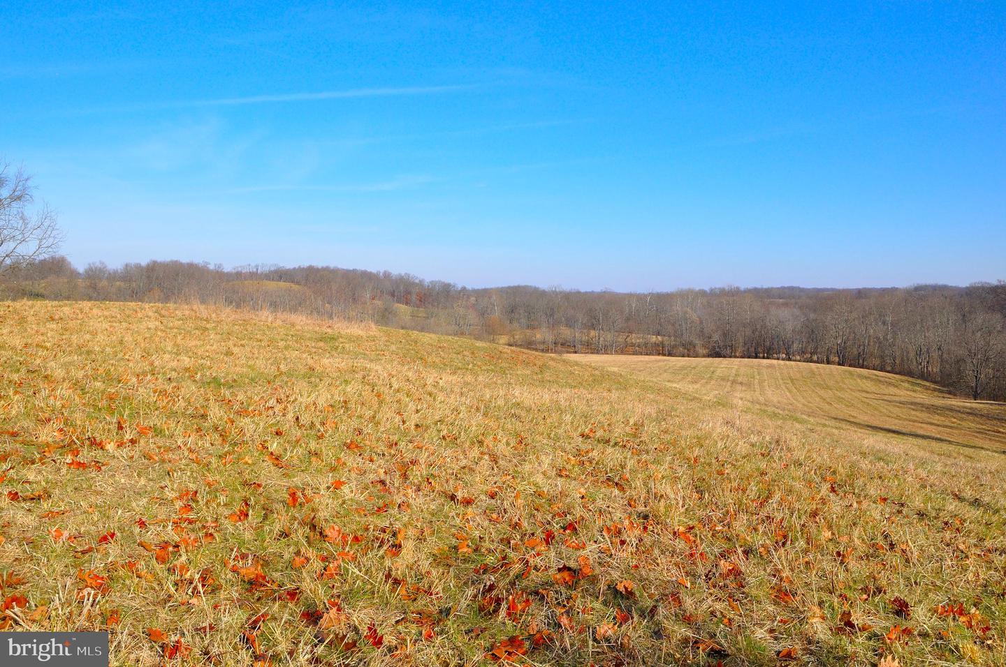 2919 ROKEBY RD, DELAPLANE, Virginia 20144, ,Land,For sale,2919 ROKEBY RD,VAFQ2017808 MLS # VAFQ2017808