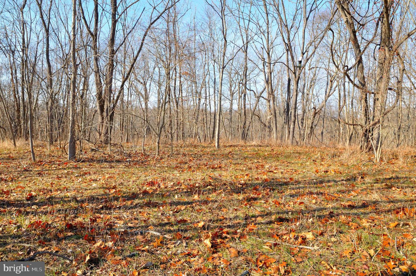 2919 ROKEBY RD, DELAPLANE, Virginia 20144, ,Land,For sale,2919 ROKEBY RD,VAFQ2017808 MLS # VAFQ2017808