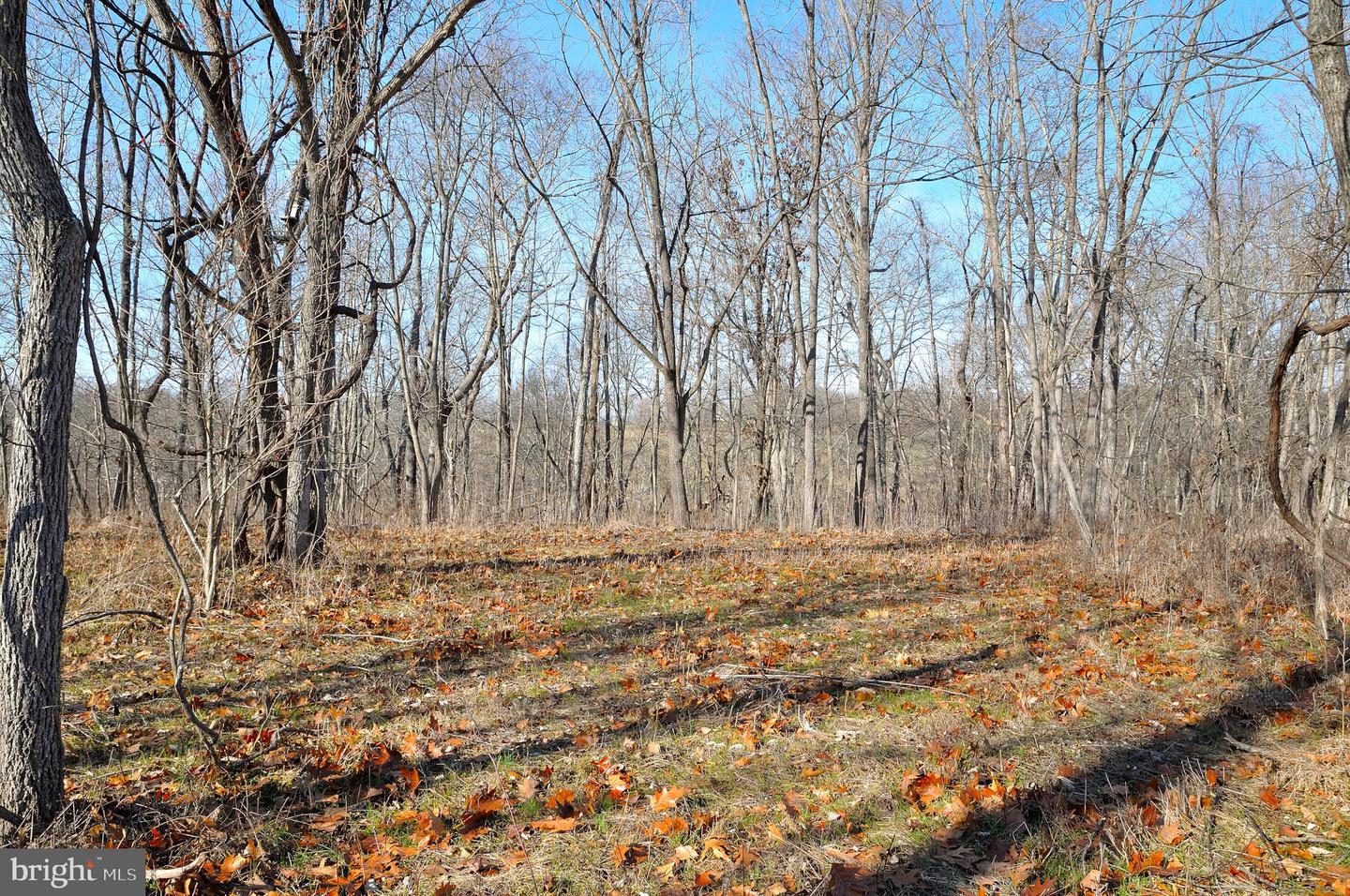 2919 ROKEBY RD, DELAPLANE, Virginia 20144, ,Land,For sale,2919 ROKEBY RD,VAFQ2017808 MLS # VAFQ2017808