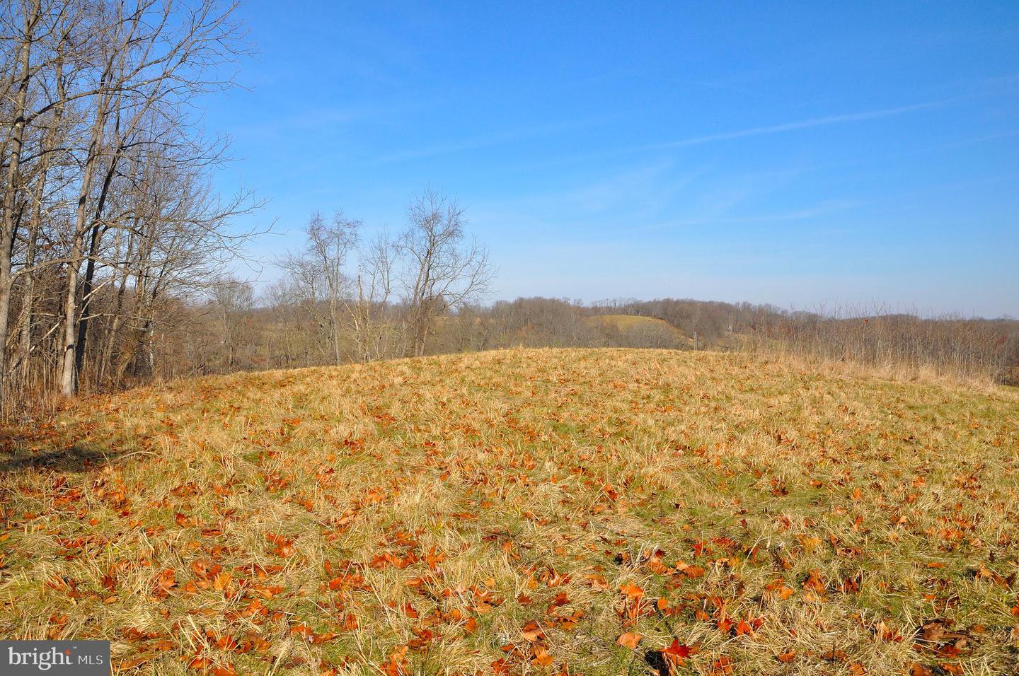 2919 ROKEBY RD, DELAPLANE, Virginia 20144, ,Land,For sale,2919 ROKEBY RD,VAFQ2017808 MLS # VAFQ2017808
