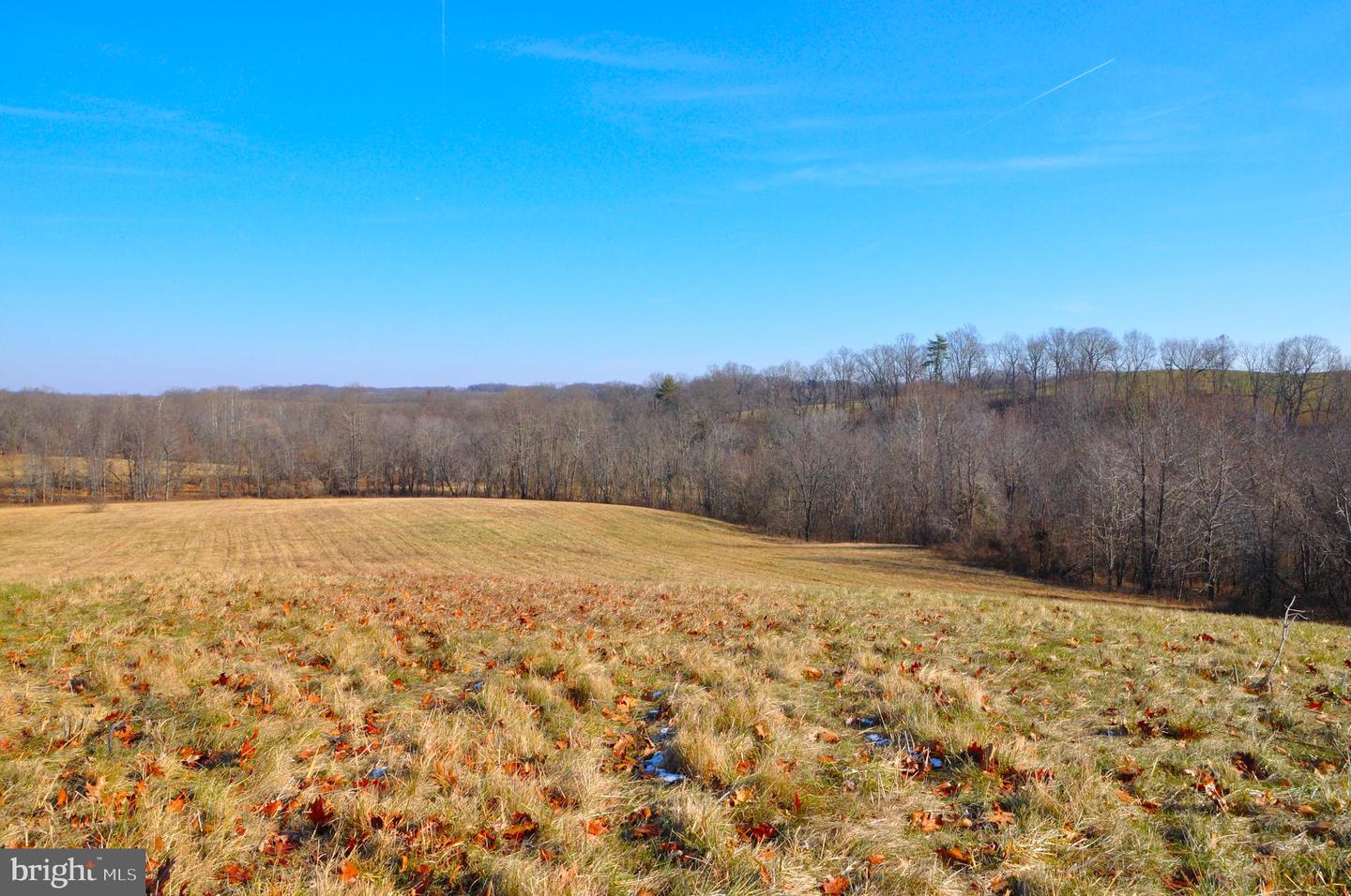 2919 ROKEBY RD, DELAPLANE, Virginia 20144, ,Land,For sale,2919 ROKEBY RD,VAFQ2017808 MLS # VAFQ2017808