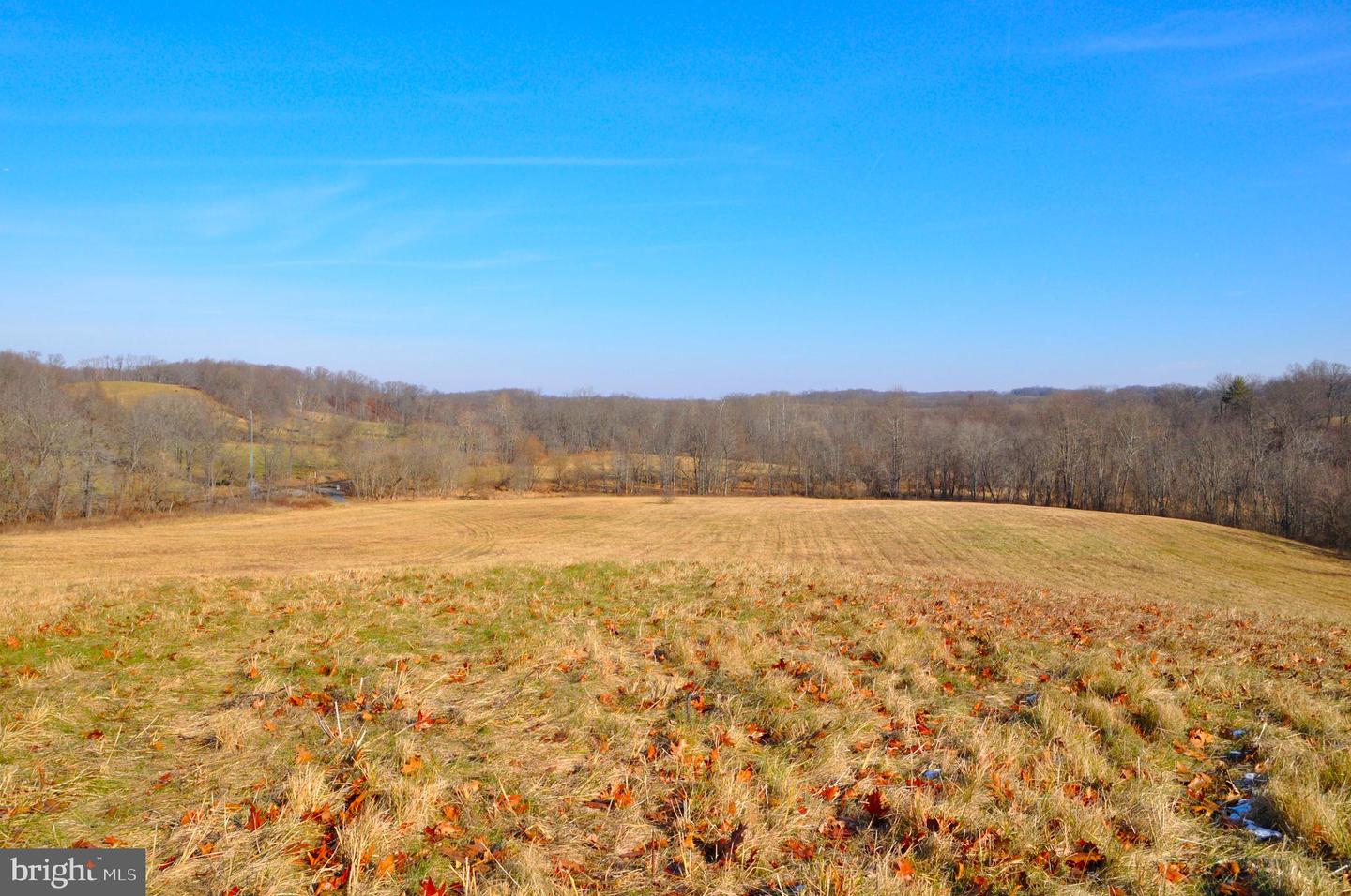 2919 ROKEBY RD, DELAPLANE, Virginia 20144, ,Land,For sale,2919 ROKEBY RD,VAFQ2017808 MLS # VAFQ2017808