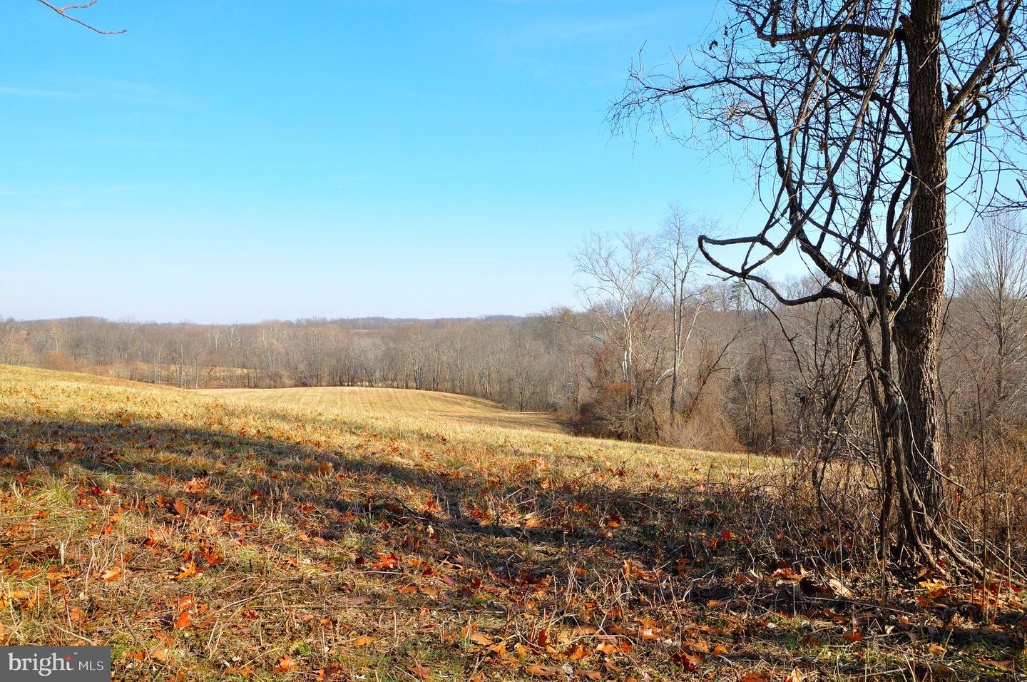 2919 ROKEBY RD, DELAPLANE, Virginia 20144, ,Land,For sale,2919 ROKEBY RD,VAFQ2017808 MLS # VAFQ2017808