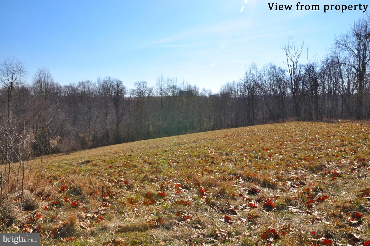 2919 ROKEBY RD, DELAPLANE, Virginia 20144, ,Land,For sale,2919 ROKEBY RD,VAFQ2017808 MLS # VAFQ2017808
