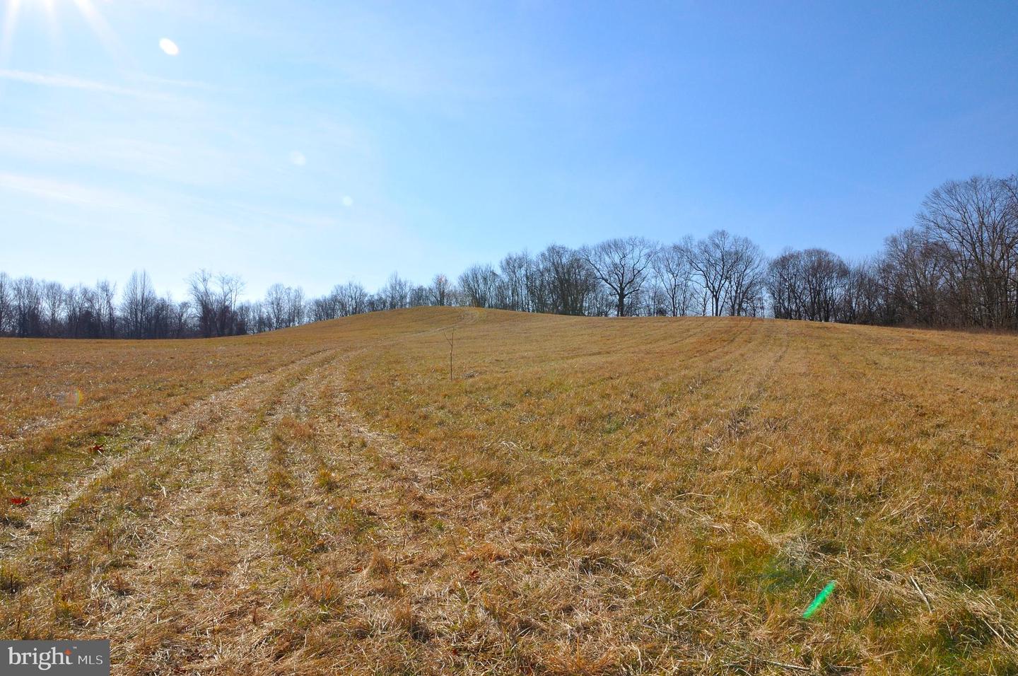 2919 ROKEBY RD, DELAPLANE, Virginia 20144, ,Land,For sale,2919 ROKEBY RD,VAFQ2017808 MLS # VAFQ2017808