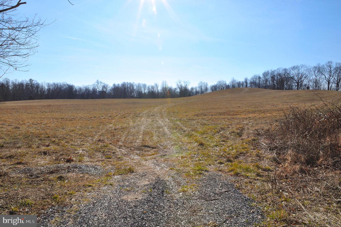 2919 ROKEBY RD, DELAPLANE, Virginia 20144, ,Land,For sale,2919 ROKEBY RD,VAFQ2017808 MLS # VAFQ2017808