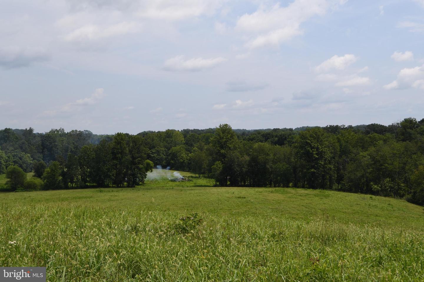 2919 ROKEBY RD, DELAPLANE, Virginia 20144, ,Land,For sale,2919 ROKEBY RD,VAFQ2017808 MLS # VAFQ2017808