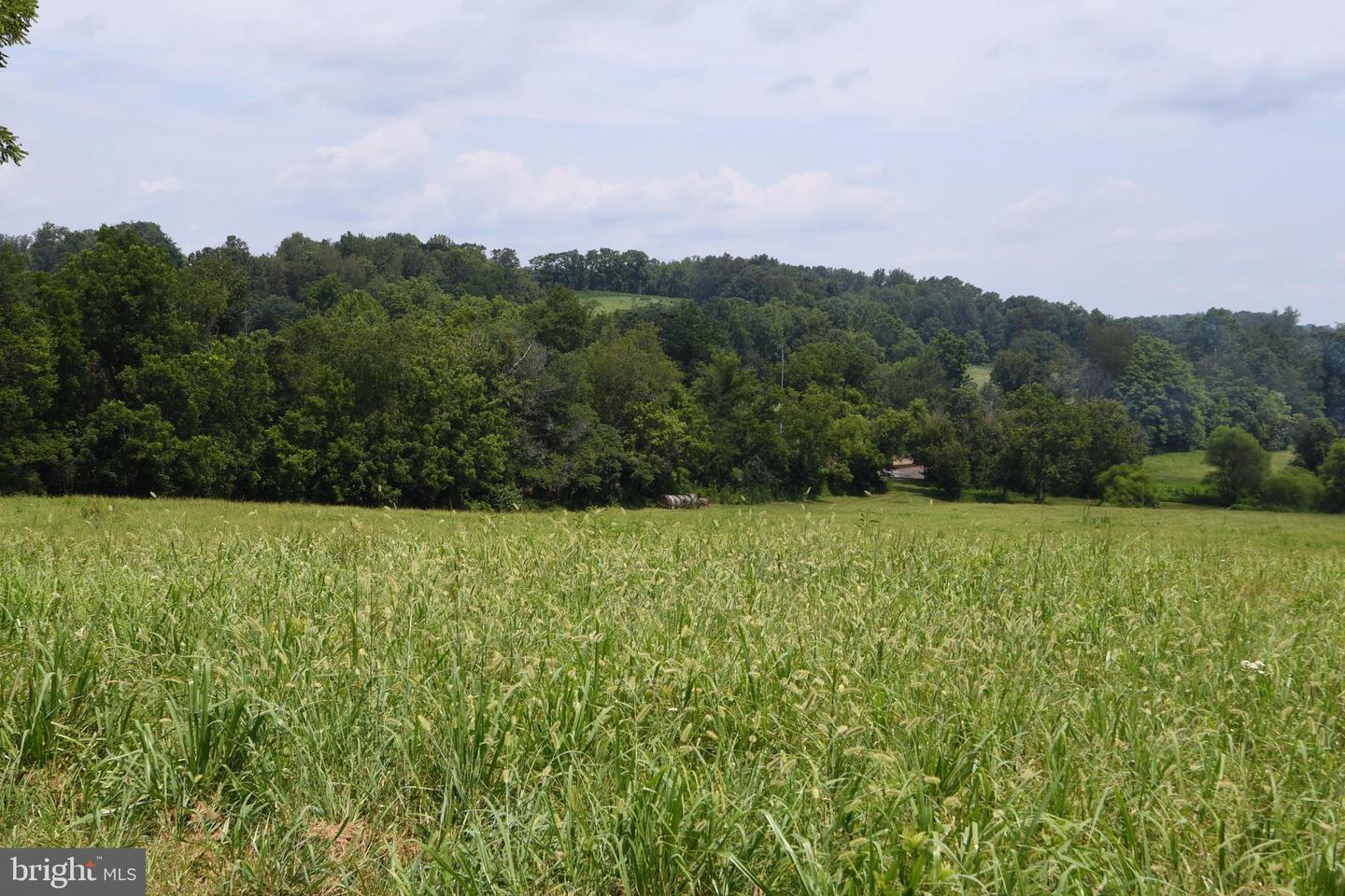 2919 ROKEBY RD, DELAPLANE, Virginia 20144, ,Land,For sale,2919 ROKEBY RD,VAFQ2017808 MLS # VAFQ2017808