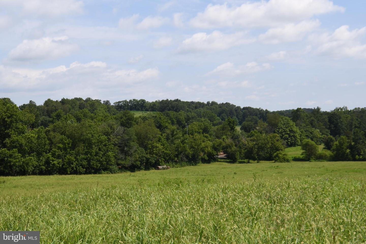 2919 ROKEBY RD, DELAPLANE, Virginia 20144, ,Land,For sale,2919 ROKEBY RD,VAFQ2017808 MLS # VAFQ2017808