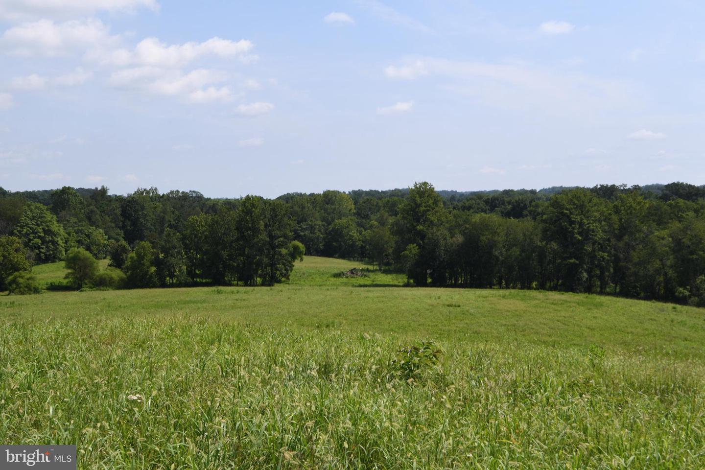 2919 ROKEBY RD, DELAPLANE, Virginia 20144, ,Land,For sale,2919 ROKEBY RD,VAFQ2017808 MLS # VAFQ2017808