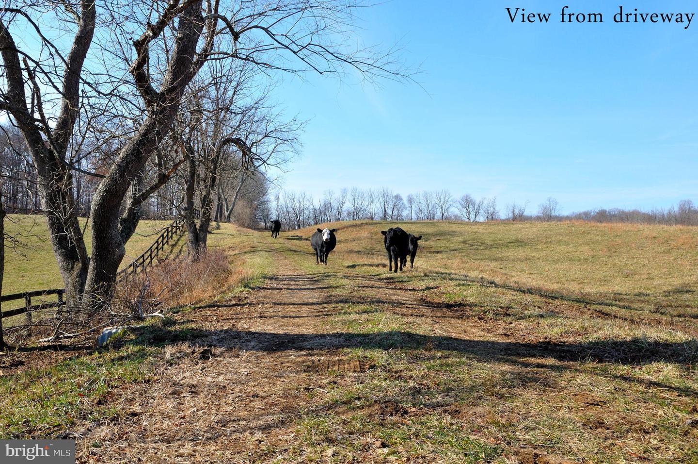 2919 ROKEBY RD, DELAPLANE, Virginia 20144, ,Land,For sale,2919 ROKEBY RD,VAFQ2017808 MLS # VAFQ2017808
