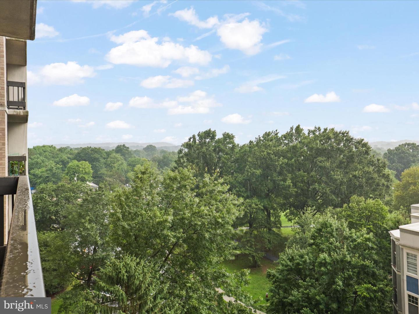 5505 SEMINARY RD #709N, FALLS CHURCH, Virginia 22041, 1 Bedroom Bedrooms, ,1 BathroomBathrooms,Residential,For sale,5505 SEMINARY RD #709N,VAFX2258874 MLS # VAFX2258874