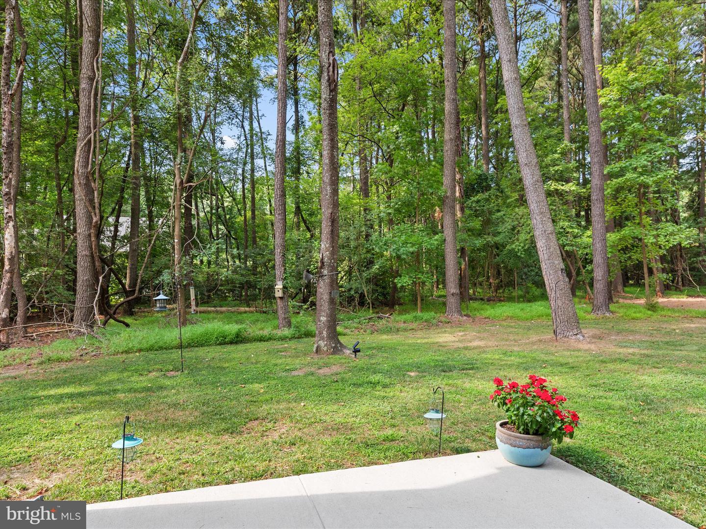 38121 NEPTUNE DR, GREENBACKVILLE, Virginia 23356, 3 Bedrooms Bedrooms, ,2 BathroomsBathrooms,Residential,For sale,38121 NEPTUNE DR,VAAC2002144 MLS # VAAC2002144