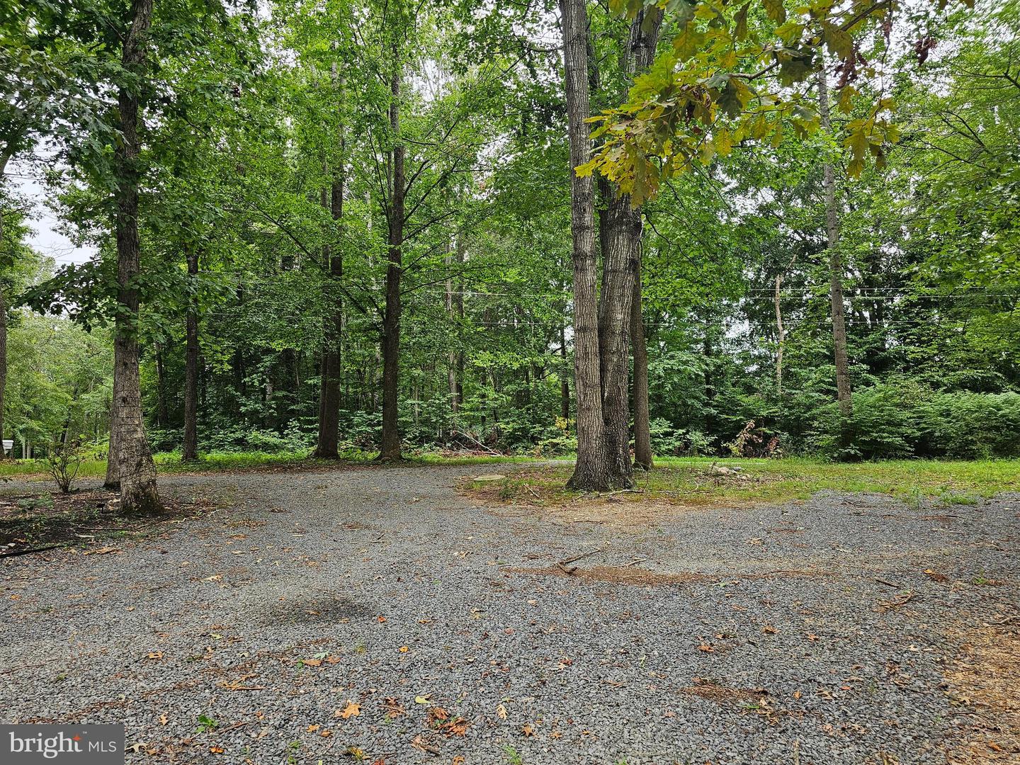 133 MEADOWS RD, FREDERICKSBURG, Virginia 22406, 4 Bedrooms Bedrooms, ,3 BathroomsBathrooms,Residential,For sale,133 MEADOWS RD,VAST2041500 MLS # VAST2041500