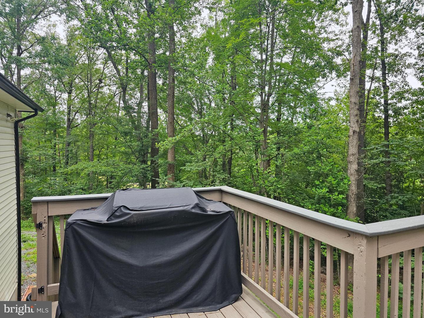 133 MEADOWS RD, FREDERICKSBURG, Virginia 22406, 4 Bedrooms Bedrooms, ,3 BathroomsBathrooms,Residential,For sale,133 MEADOWS RD,VAST2041500 MLS # VAST2041500